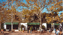 William & Mary College
